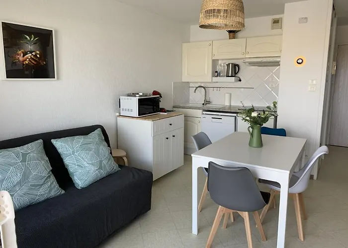 公寓 F2 Avec Balcon, A 2 Pas De La Plage, Parking Prive, Animaux Admis - Fr-1-482-113 *