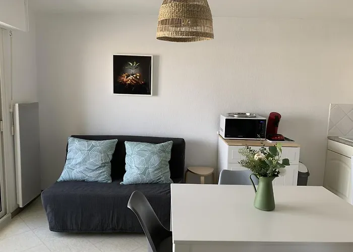 公寓 F2 Avec Balcon, A 2 Pas De La Plage, Parking Prive, Animaux Admis - Fr-1-482-113 *