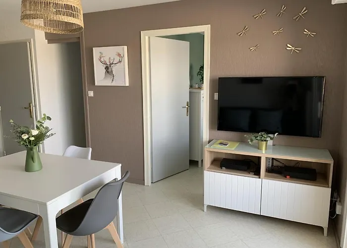 F2 Avec Balcon, A 2 Pas De La Plage, Parking Prive, Animaux Admis - Fr-1-482-113 *