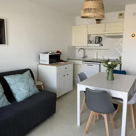Appartement F2 Avec Balcon, A 2 Pas De La Plage, Parking Prive, Animaux Admis - Fr-1-482-113 *