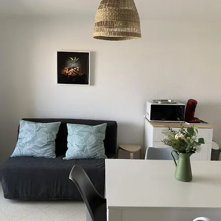 Appartement F2 Avec Balcon, A 2 Pas De La Plage, Parking Prive, Animaux Admis - Fr-1-482-113 *