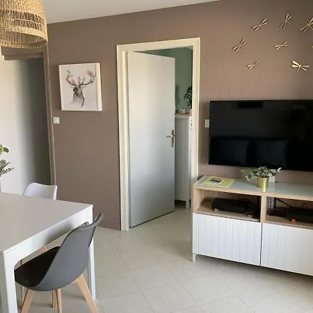 F2 Avec Balcon, A 2 Pas De La Plage, Parking Prive, Animaux Admis - Fr-1-482-113 *