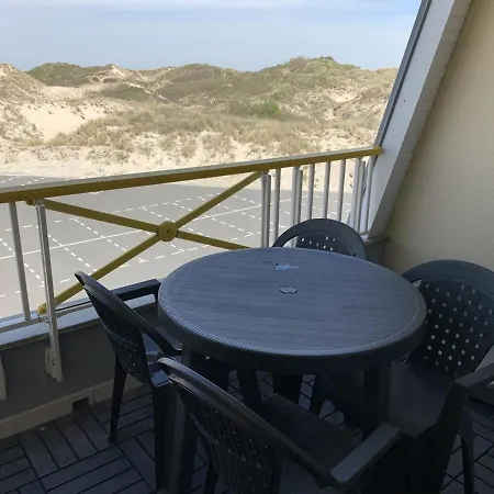 Appartement F2 Avec Balcon, A 2 Pas De La Plage, Parking Prive, Animaux Admis - Fr-1-482-113