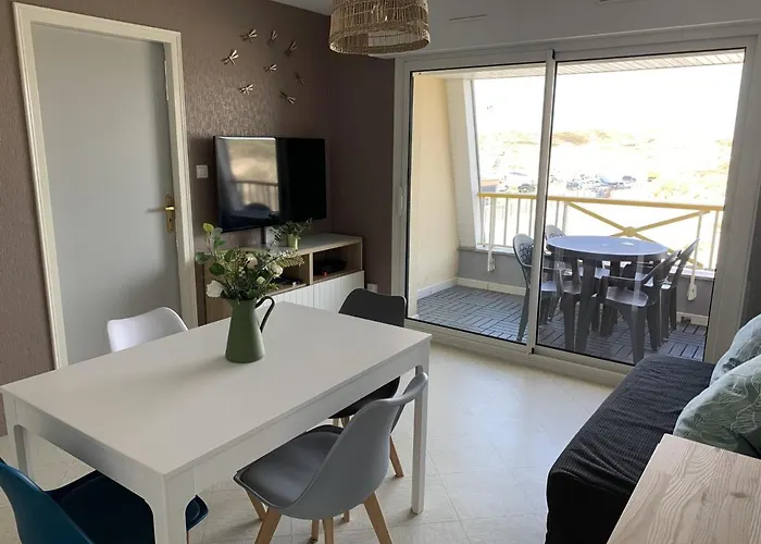 公寓 F2 Avec Balcon, A 2 Pas De La Plage, Parking Prive, Animaux Admis - Fr-1-482-113