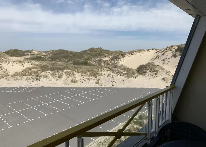 公寓 F2 Avec Balcon, A 2 Pas De La Plage, Parking Prive, Animaux Admis - Fr-1-482-113 *