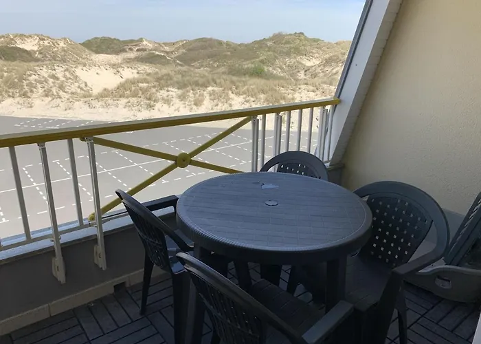 公寓 F2 Avec Balcon, A 2 Pas De La Plage, Parking Prive, Animaux Admis - Fr-1-482-113